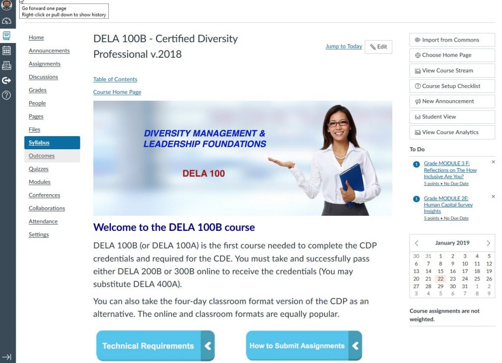online diversity certification